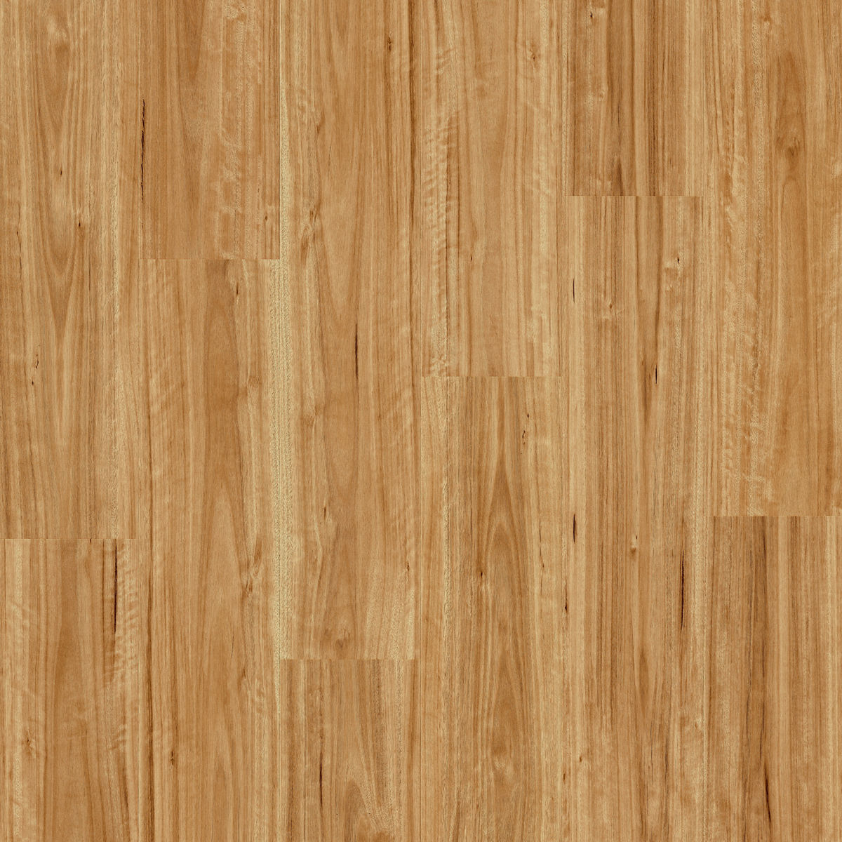 Quick-Step Bloom (Hybrid)