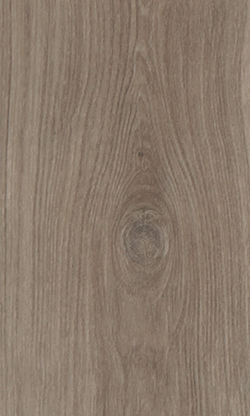 Heartridge Highland Oak Hybrid
