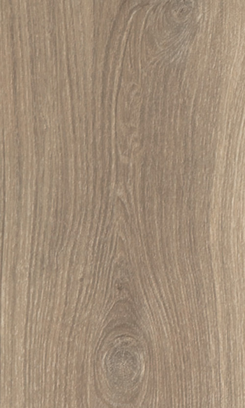 Heartridge Highland Oak Hybrid