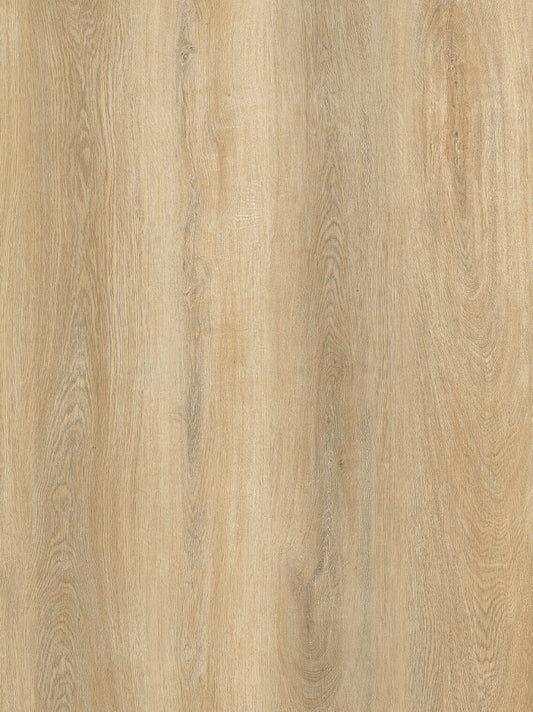 Polaris 1200 (3mm)