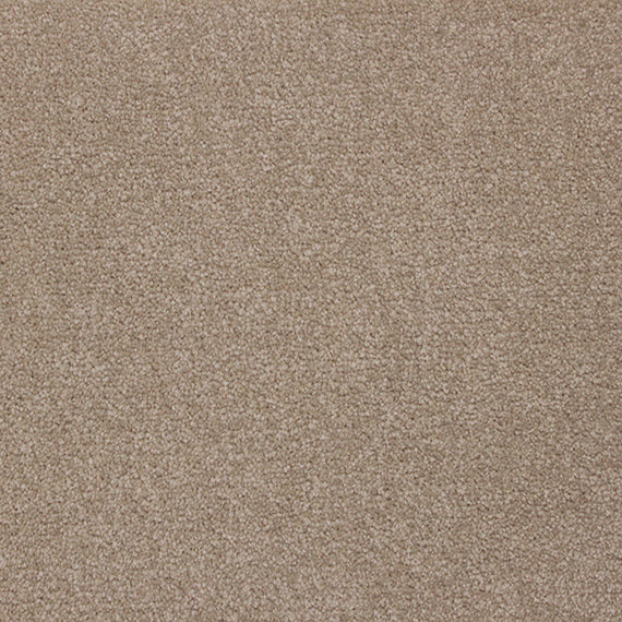 Mink - Cashmere Touch