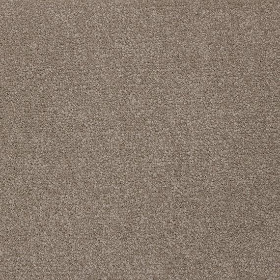 Mink - Cashmere Touch