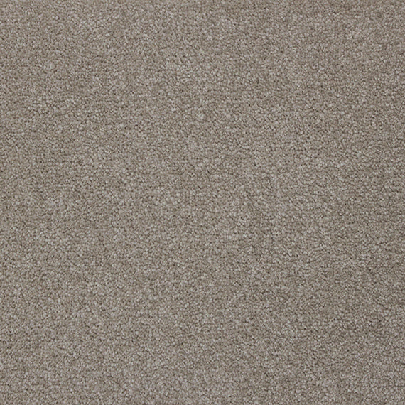 Mink - Cashmere Touch